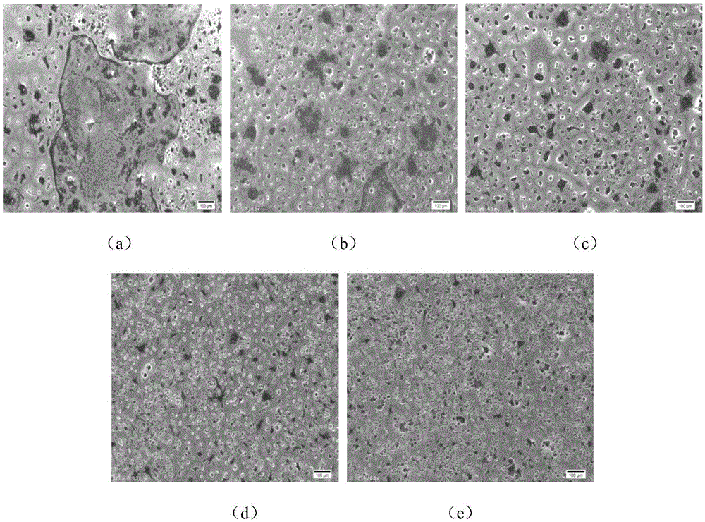 Application of peptide MDP-1 to preparing of anti-osteoporosis medicine