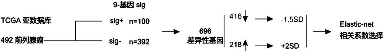 Biomarker and detection method for detecting risk of cancer recurrence