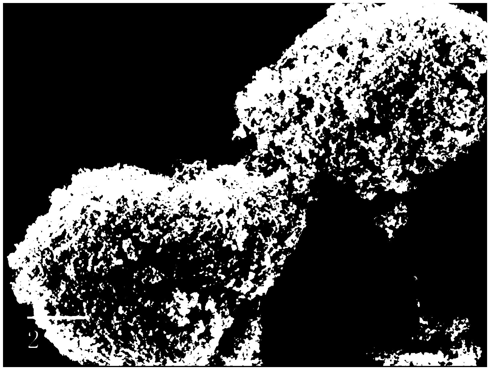 Ni coated SiC compound powder enhanced iron-based composite material, and preparation method thereof