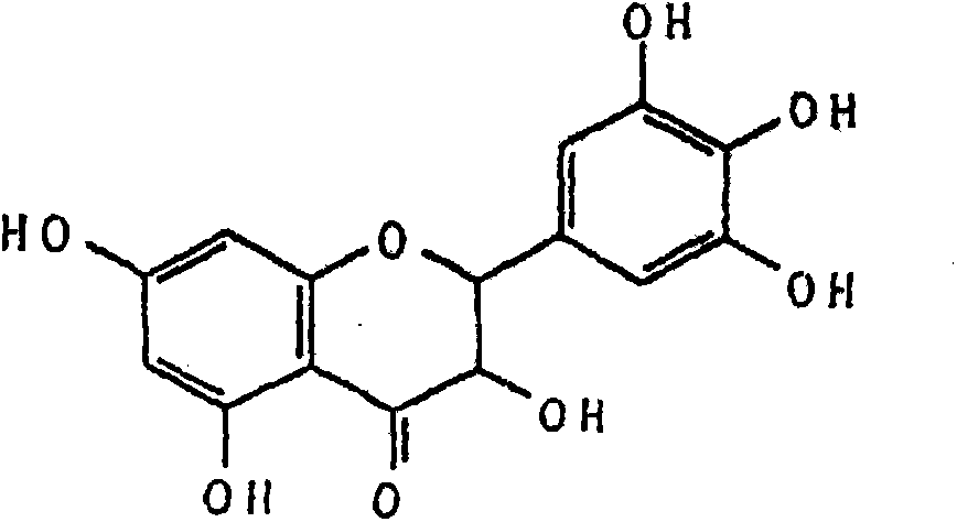 Application of ampelopsin in mutation resistance composition preparation