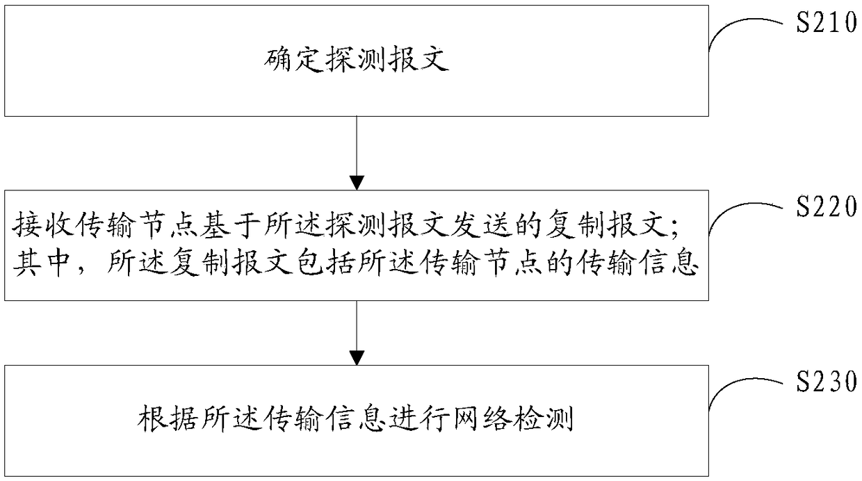 V x LAN detection method and device