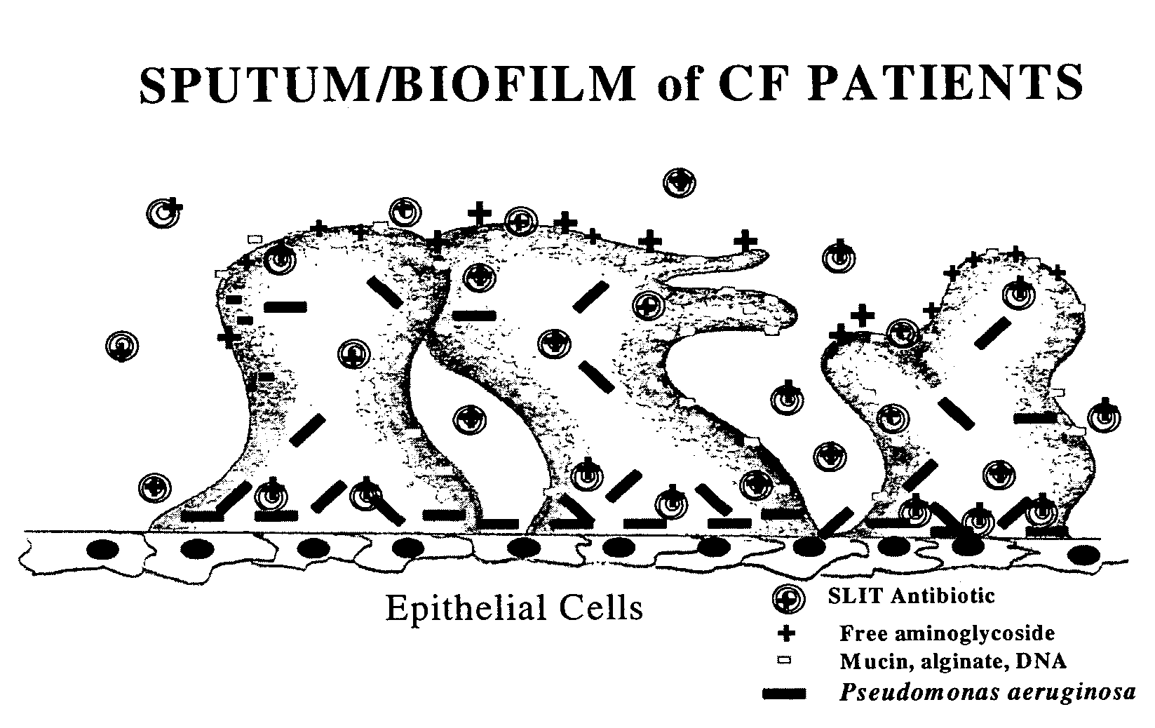 Sustained release of antiinfectives