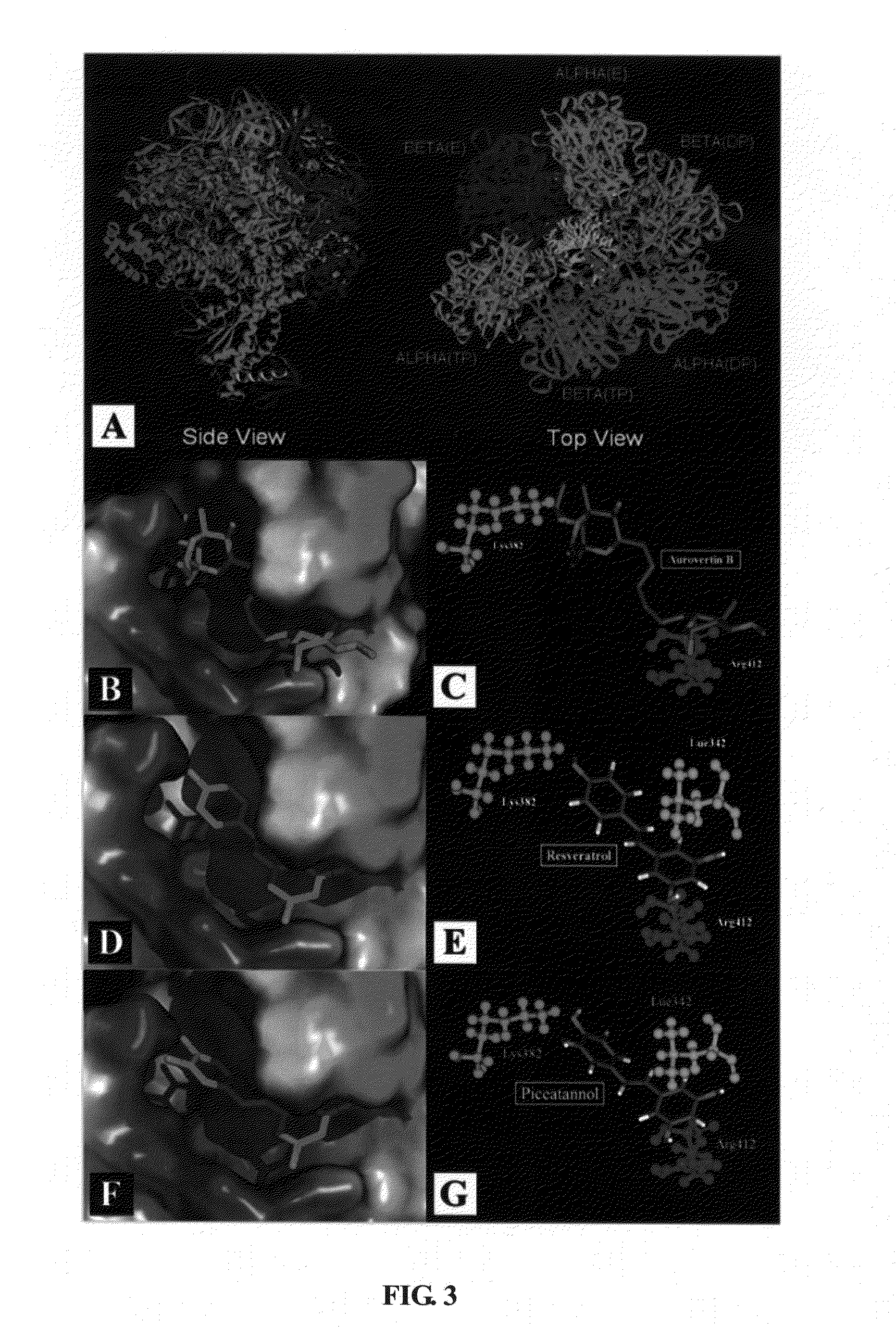 Method of treating cancer using atp synthase inhibitors