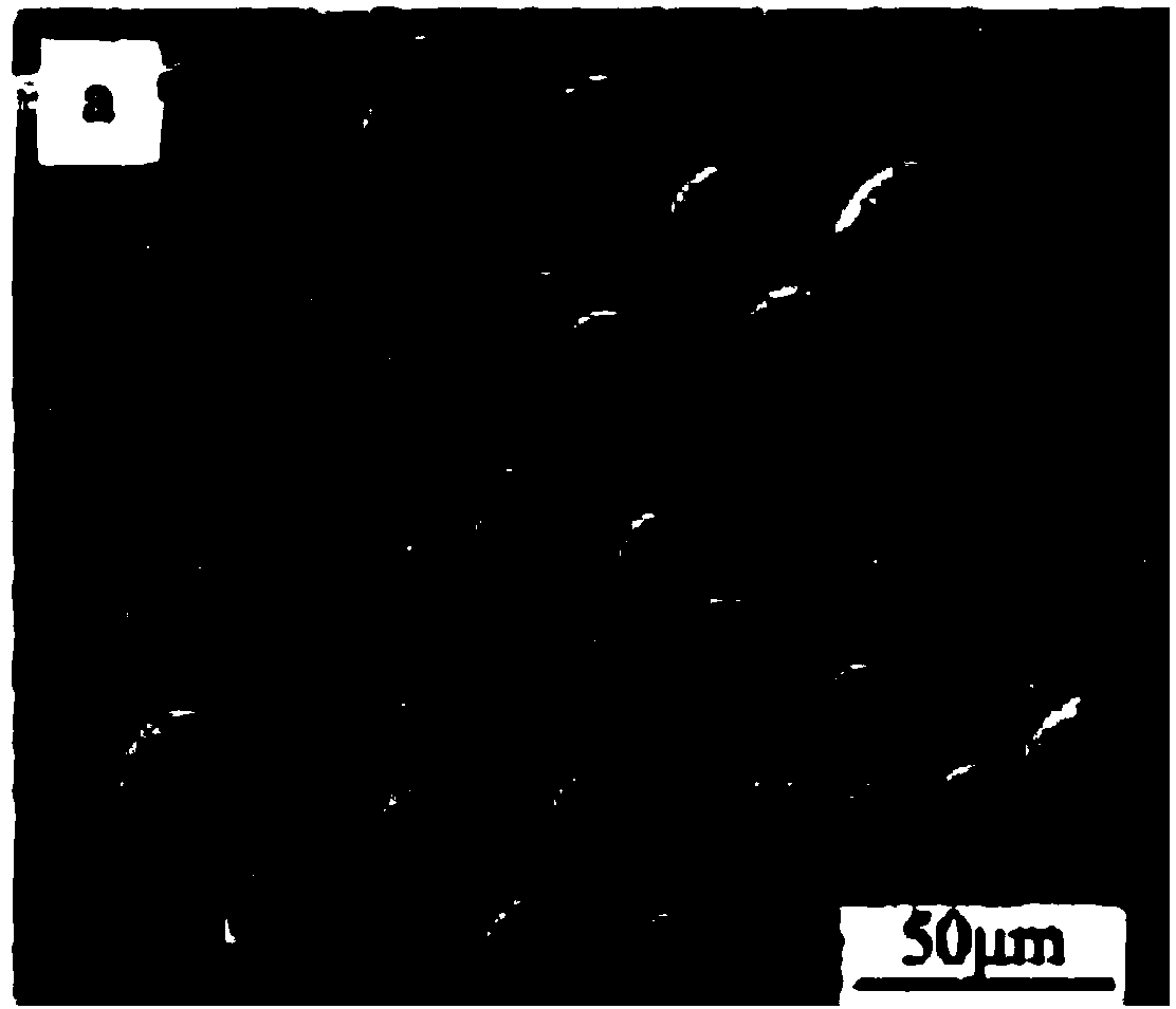 Method for preparing nickel catalyst supported on SiO2 microspheres and application of nickel catalyst