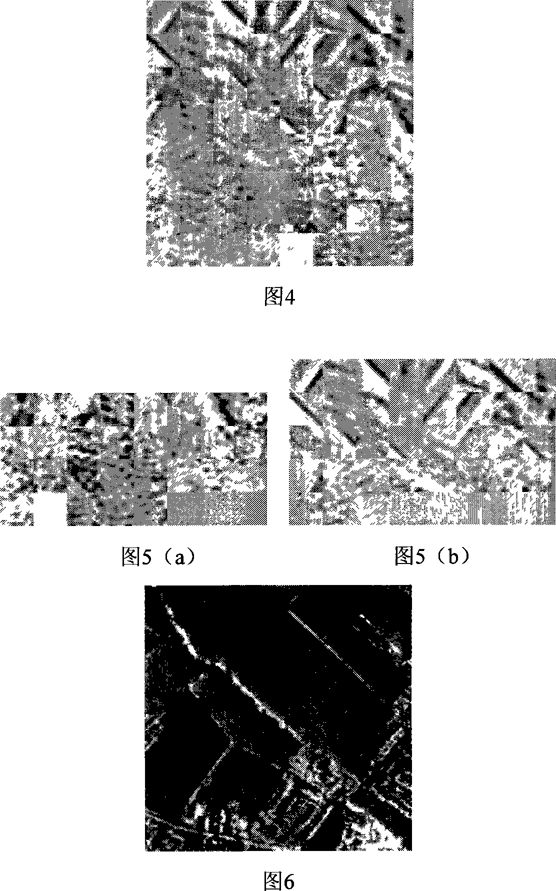 Synthetic aperture radar image noise-eliminating method based on independent component analysis based image