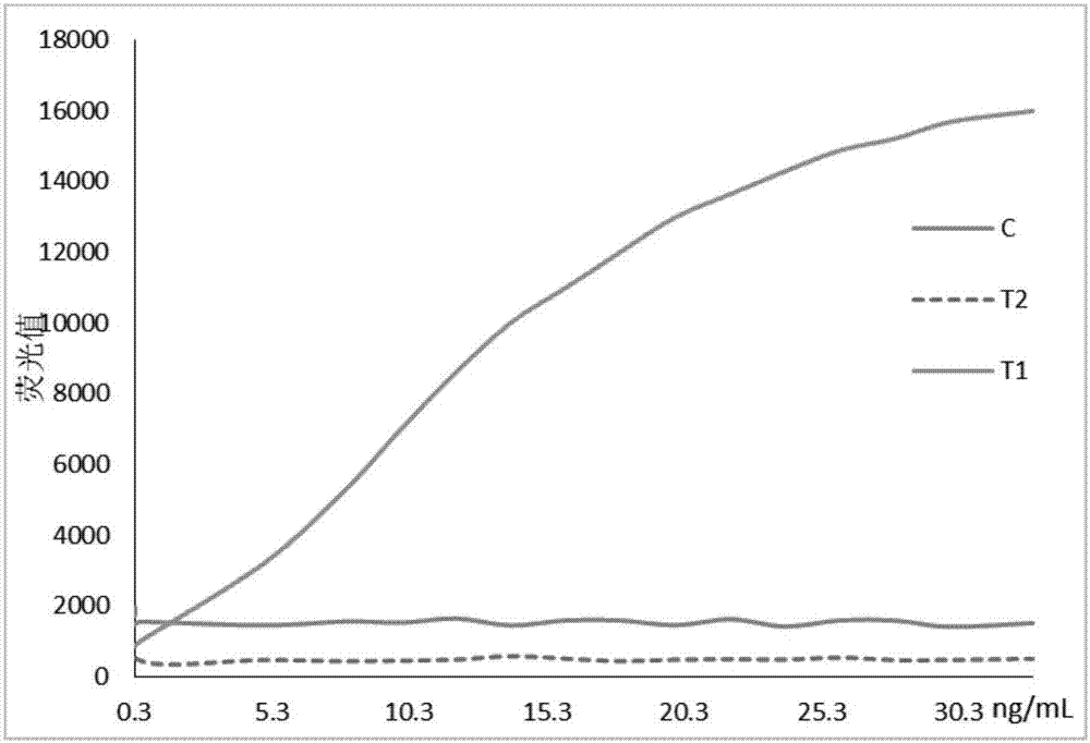 Immunochromatographic test strip for detecting cardiac infarction and heart failure and preparation method thereof