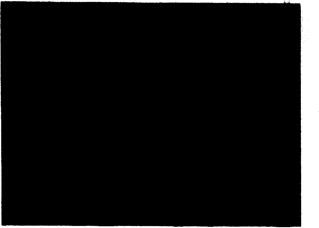 Method for producing lead zirconate-titanate thin film infrared thermal imaging detector hanging structure