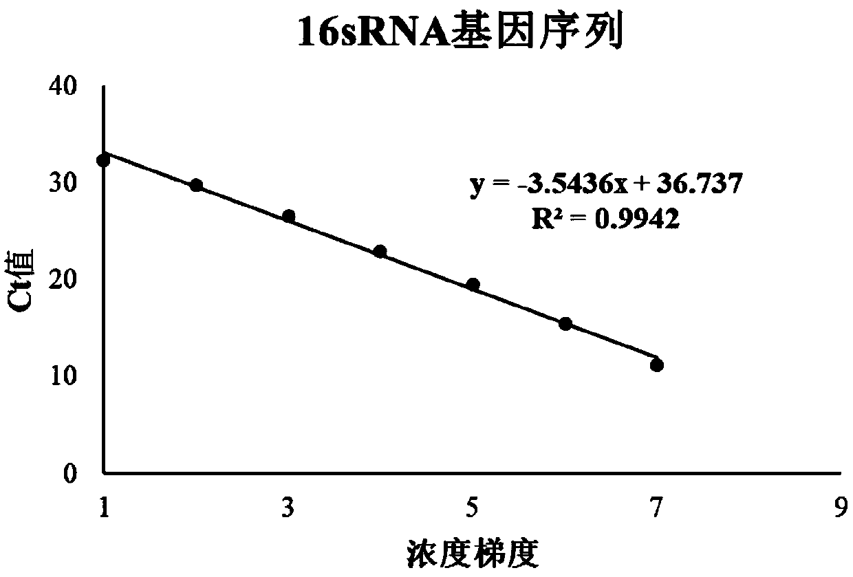 TaqMan probe quantitative detection method for detecting pseudomonas putida and corresponding kit