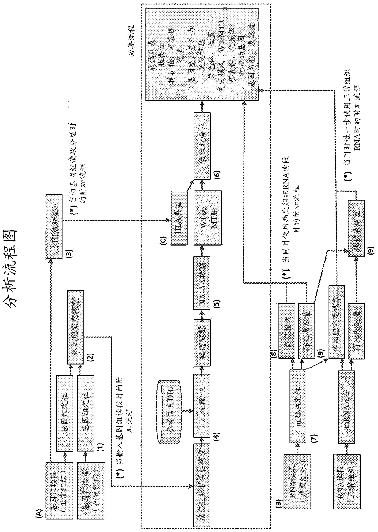 Monitoring and diagnosis for immunotherapy, and design for therapeutic agent