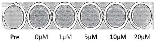 Compositions and methods for regulating body weight and metabolic syndromes