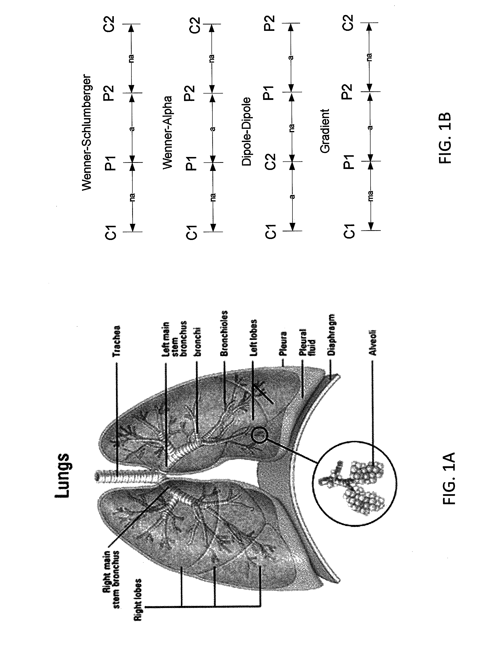 Methods for determining the relative spatial change in subsurface resistivities across frequencies in tissue