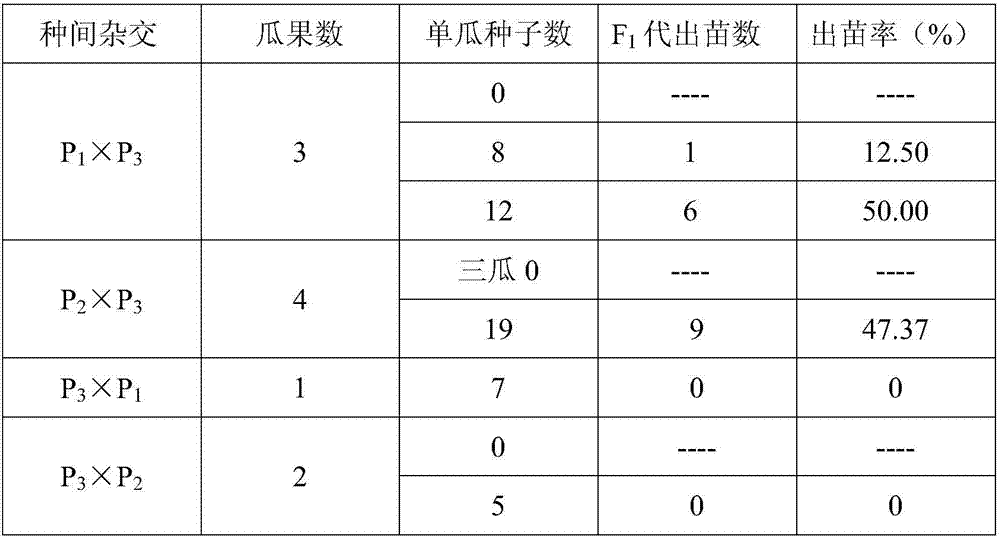 Creation method of pumpkin interspecific crossing recombinant inbred line