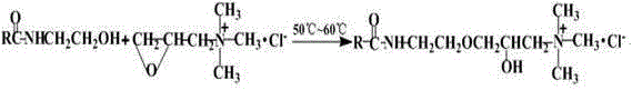 Novel synthetic cationic vegetable oil fat liquor and preparation method thereof