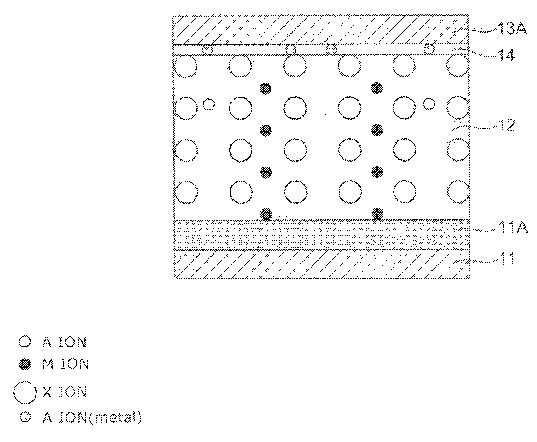 Information recording and reproducing apparatus