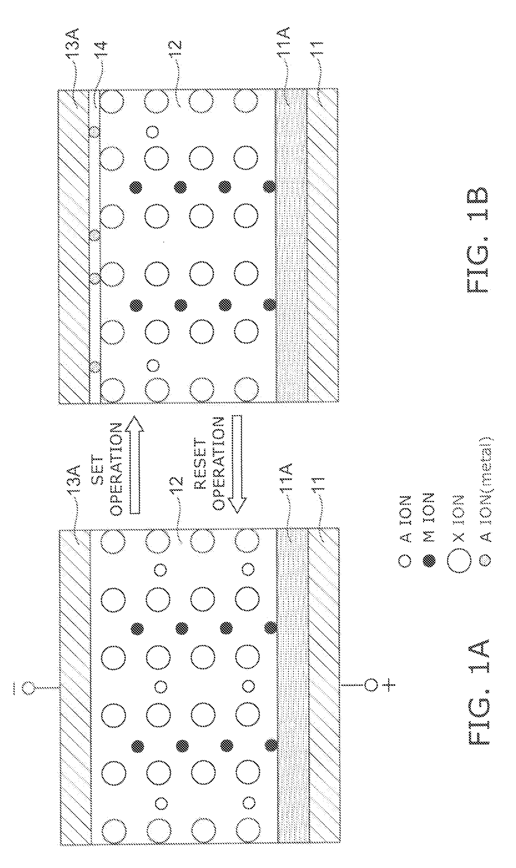 Information recording and reproducing apparatus