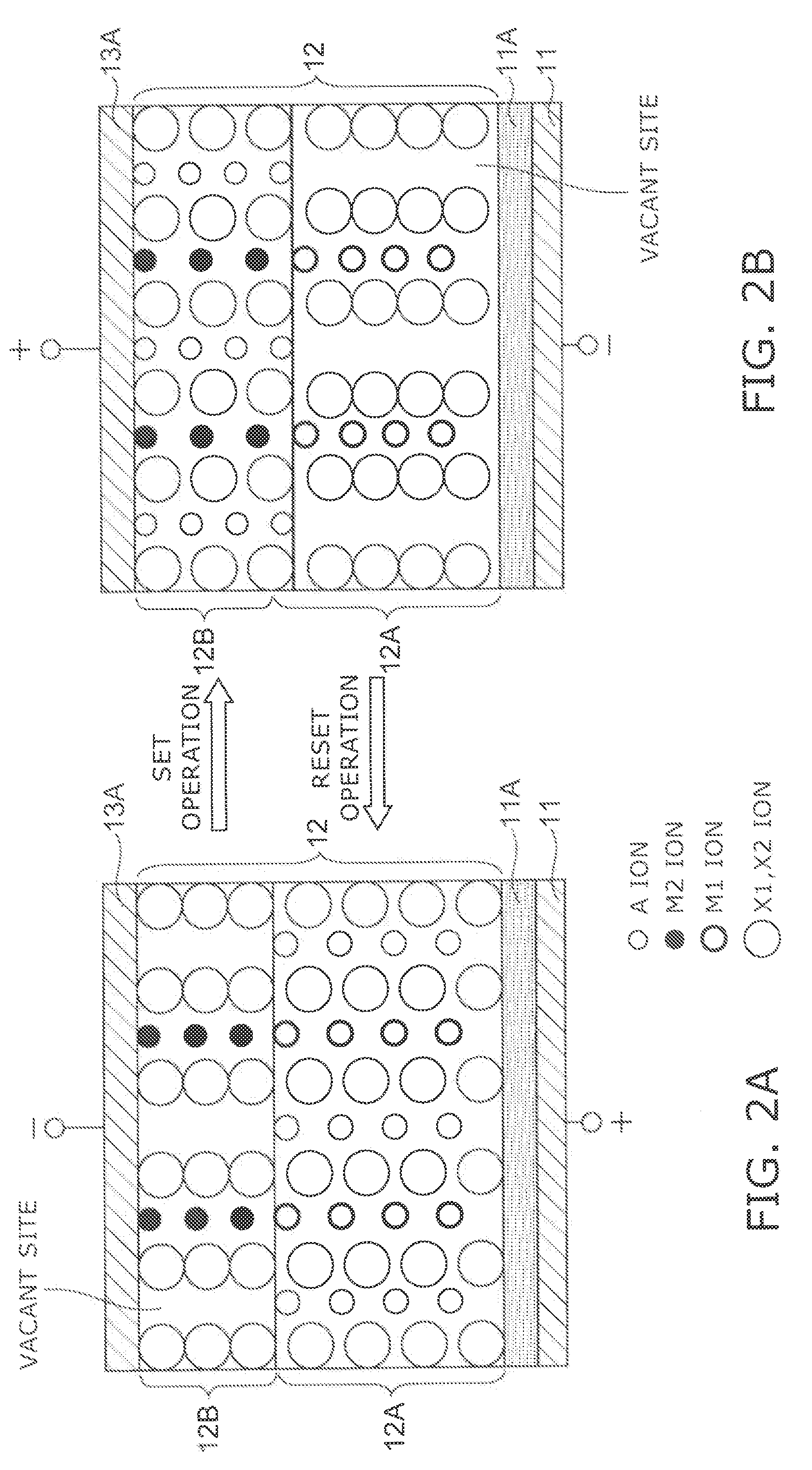 Information recording and reproducing apparatus