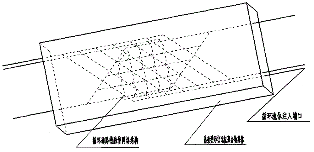 Cycle pathway micro-vessel network structure and application thereof