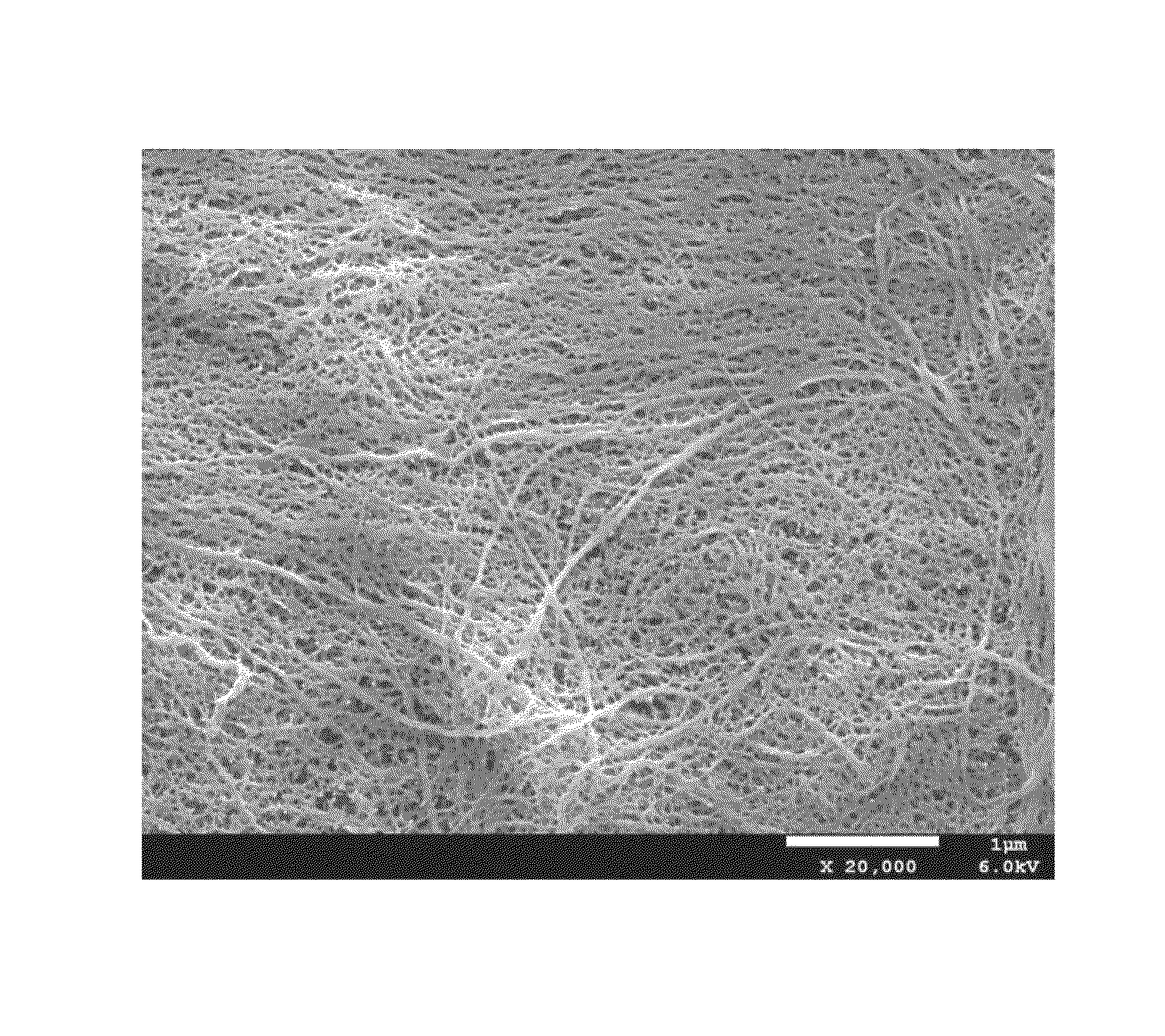 Porous membrane and process for preparing the same