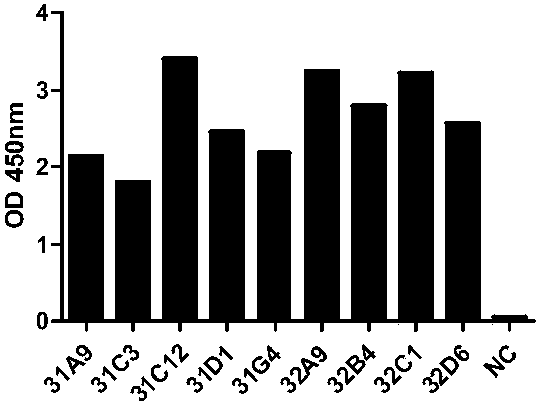 Anti-GPC3 fully-humanized antibody, and chimeric antigen receptor cell and application thereof