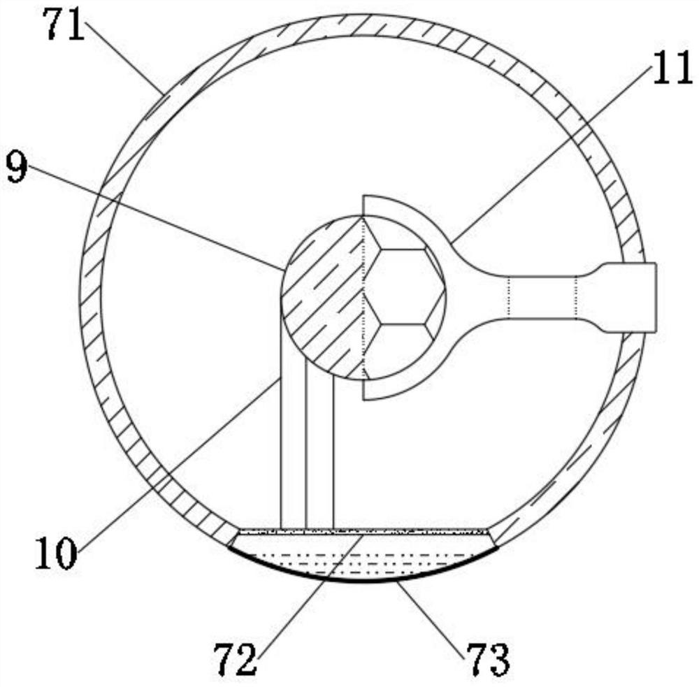 Carrying type image processing system and device