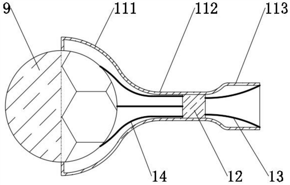 Carrying type image processing system and device