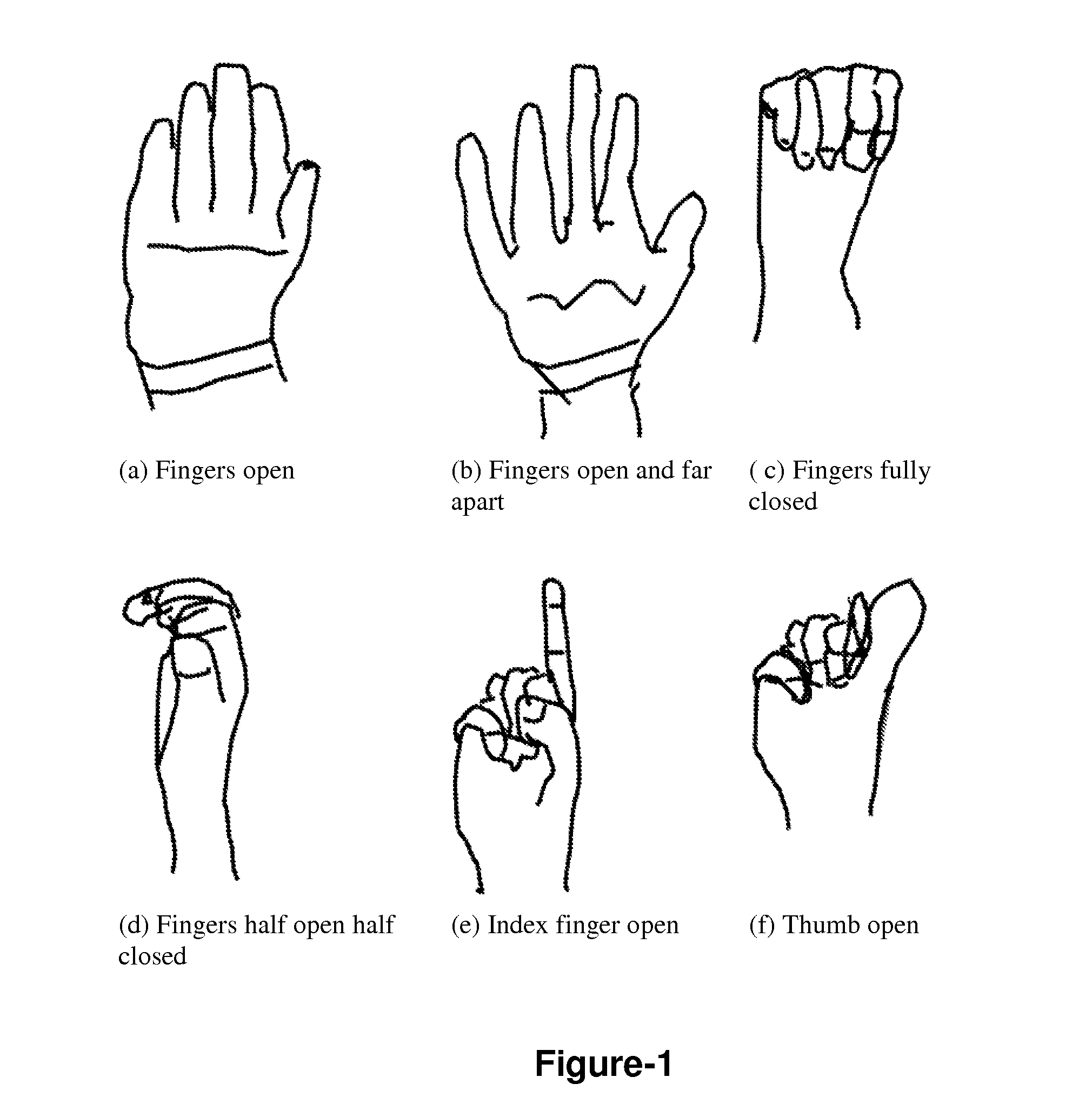 Apparatus for instantaneous translation of sign language