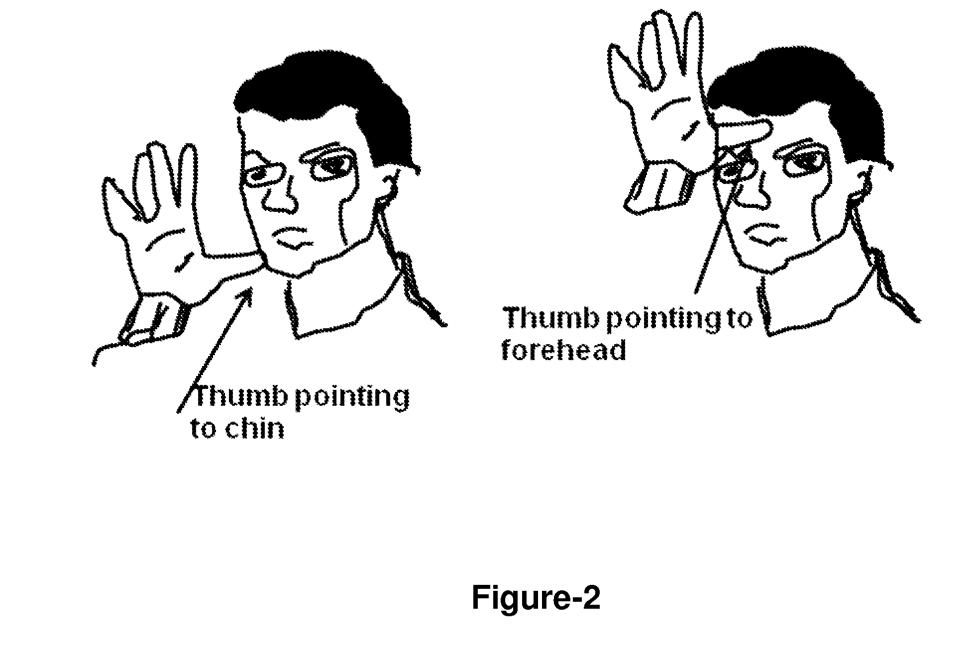 Apparatus for instantaneous translation of sign language