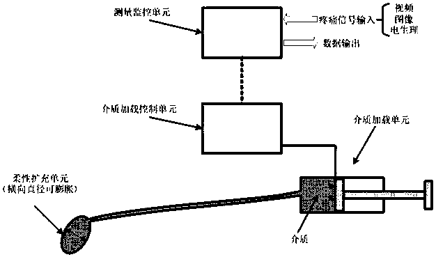 Building of non-human primate dysmenorrheal model and dysmenorrheal pain measuring method