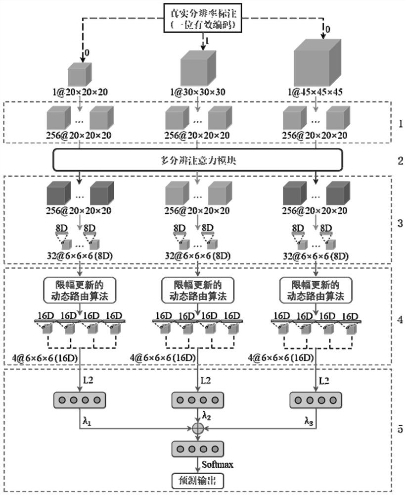 Pulmonary nodule auxiliary diagnosis method based on three-dimensional multi-resolution attention capsule network