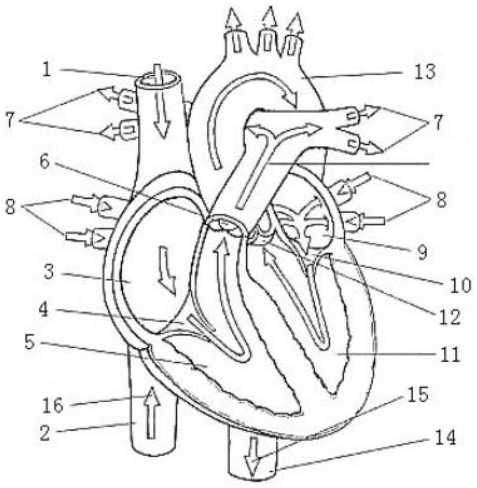 Valve clip and clipping system thereof