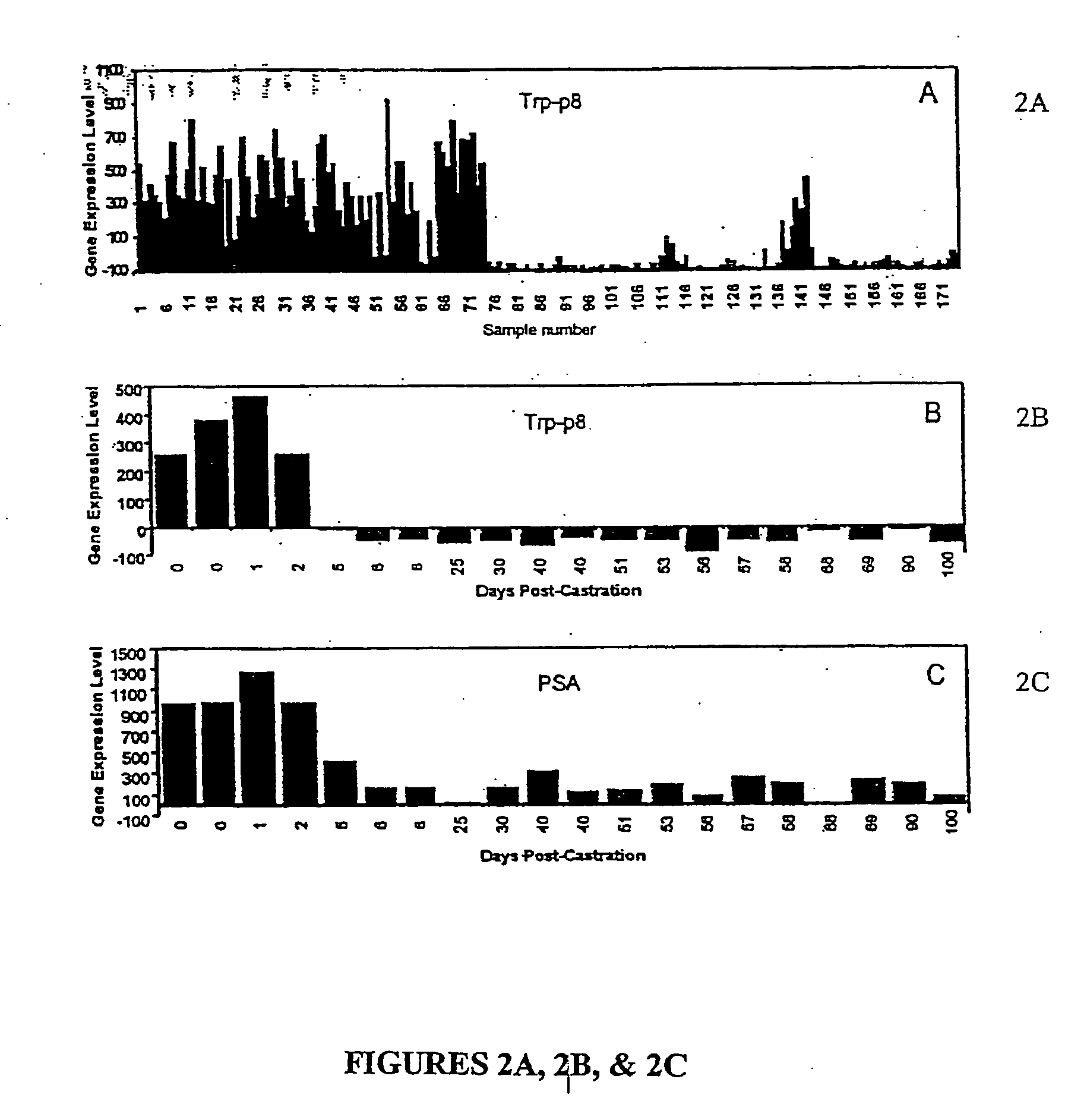 Methods of prognosis of prostate cancer