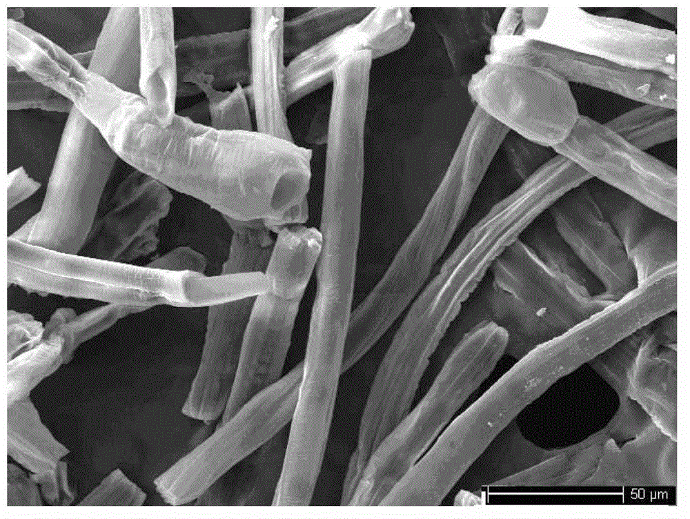 Preparation method of oxidized regenerated cellulose hemostatic material with micro-nano composite structure