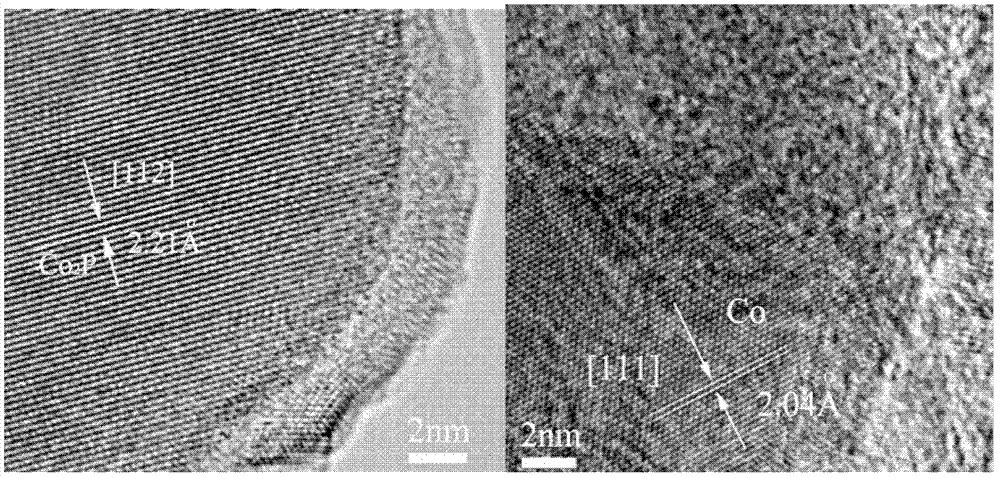 Cobalt phosphide catalyst for preparing 3-pentanone and propanal from hydrogen, carbon monoxide and ethylene