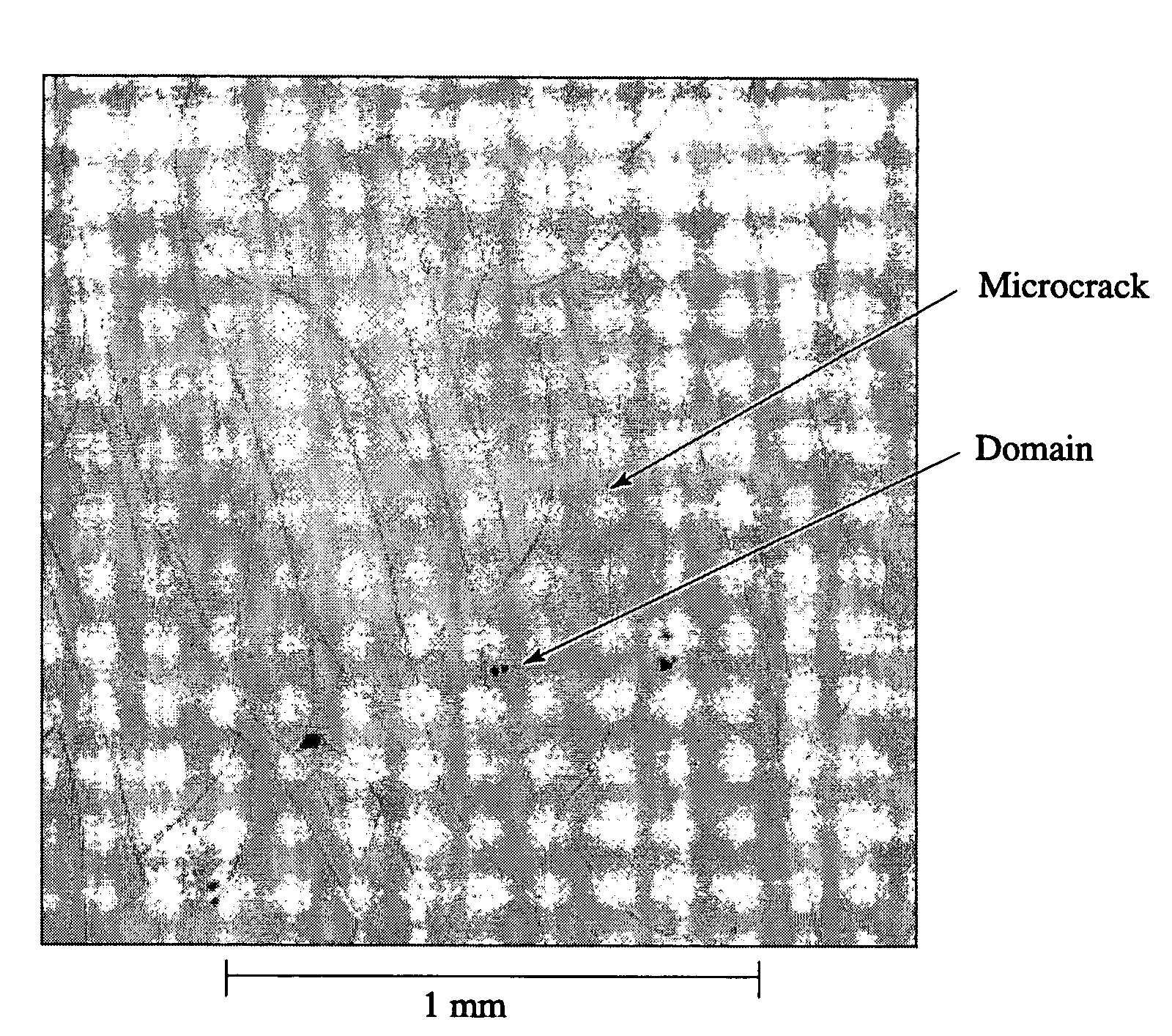 Network conductor and its production method and use