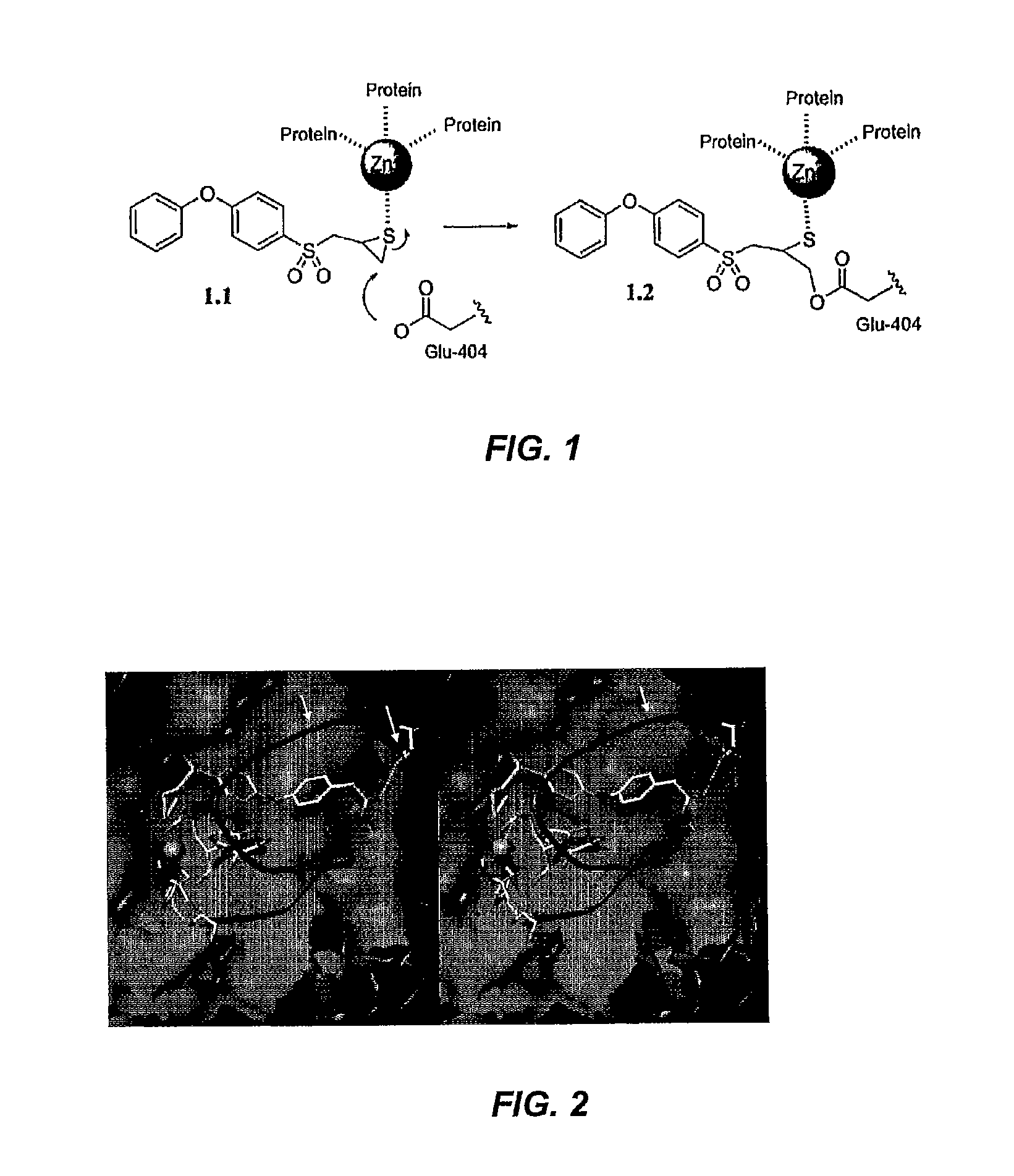 Inhibitors of matrix metallaproteinases