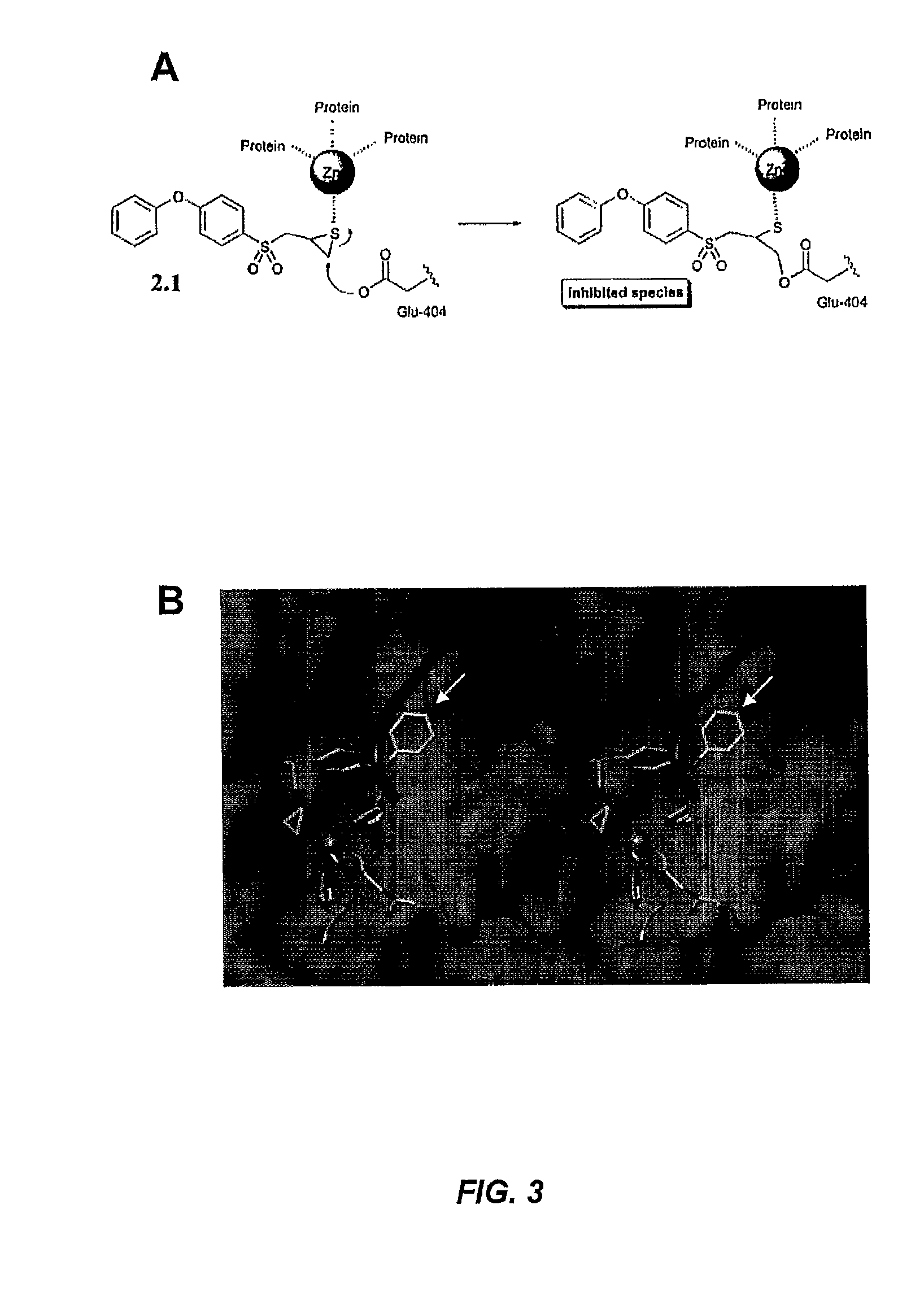 Inhibitors of matrix metallaproteinases