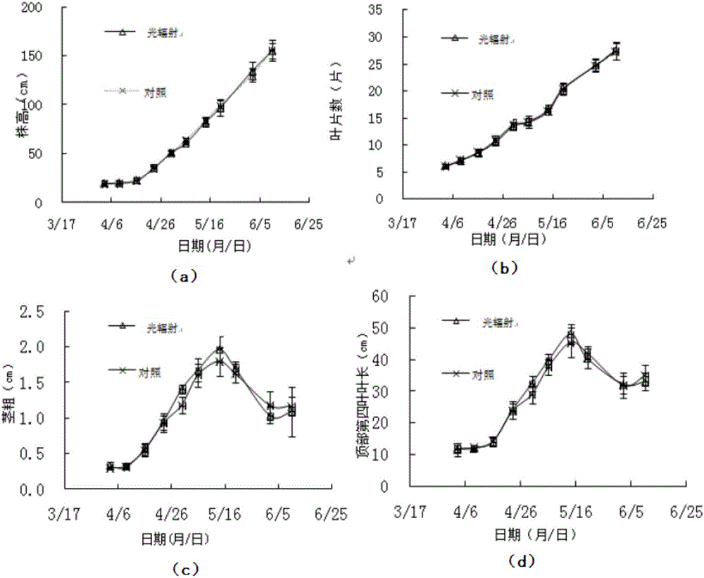 Intelligent irrigation system based on optical radiation