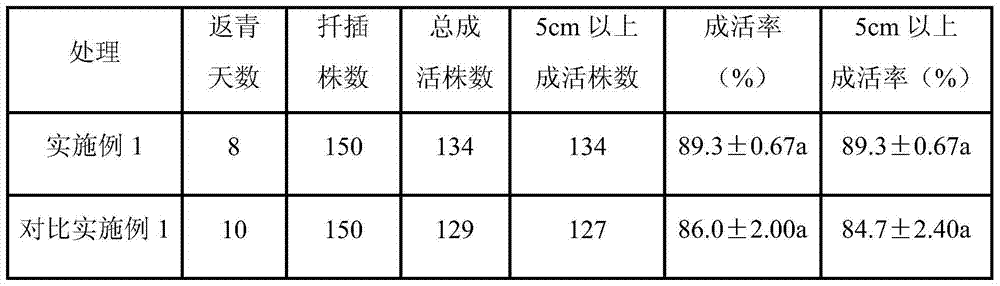 A kind of method of banana MS-free tissue culture