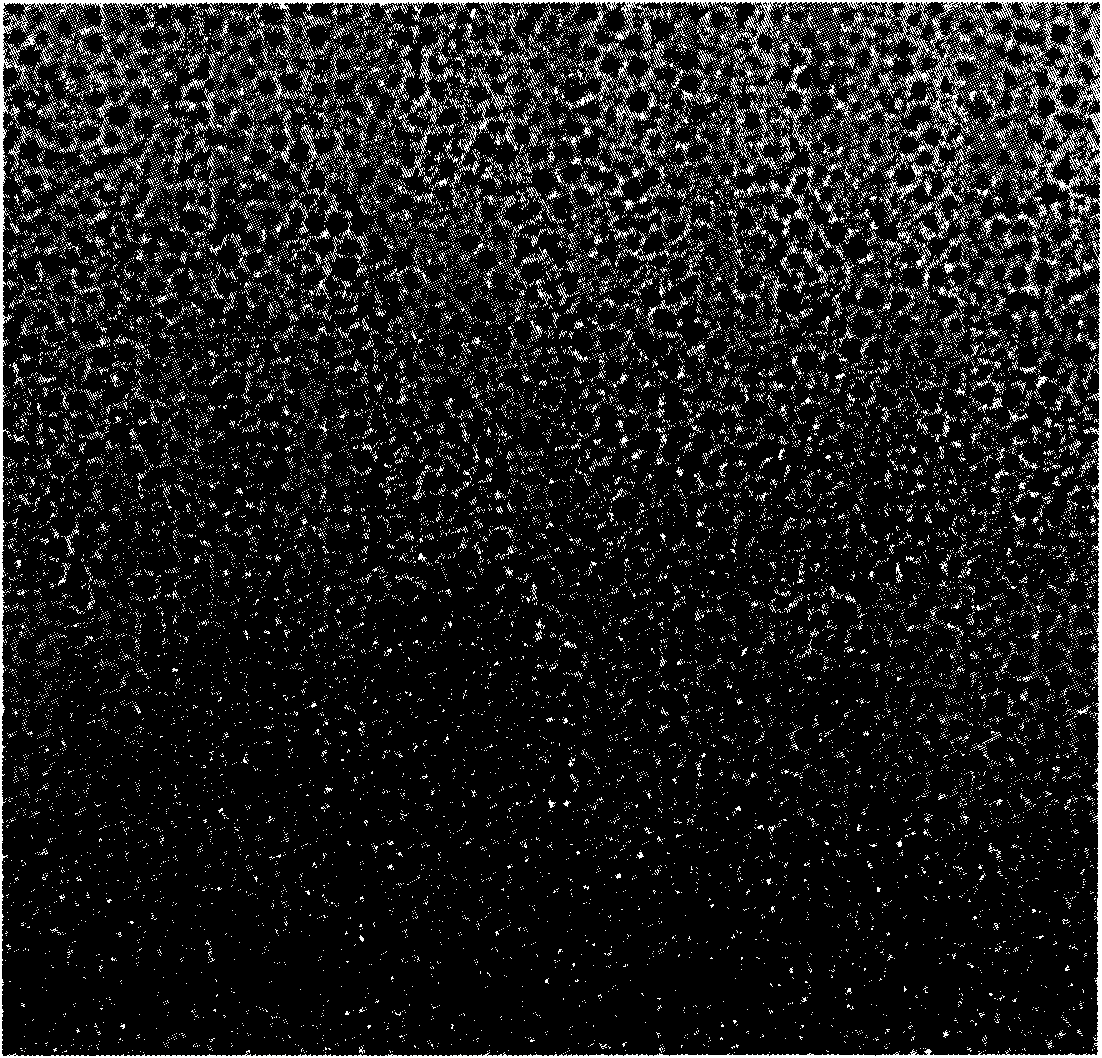 Method for preparing palladium nano-particles by plant biomass reduction method