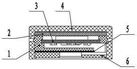 Mounting and protecting structure for organic light emitting diode (OLED) screen of signal lamp