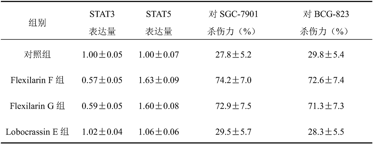 Application of STAT3 inhibitor and STAT5 activator in enhancing lethality of NK (Natural Killer) cell to tumor cell