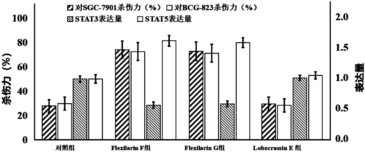 Application of STAT3 inhibitor and STAT5 activator in enhancing lethality of NK (Natural Killer) cell to tumor cell