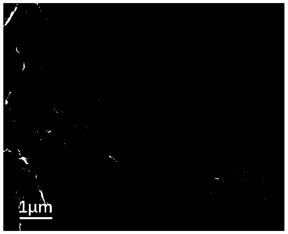 Method for preparing loose nanofiltration membrane based on interfacial polymerization