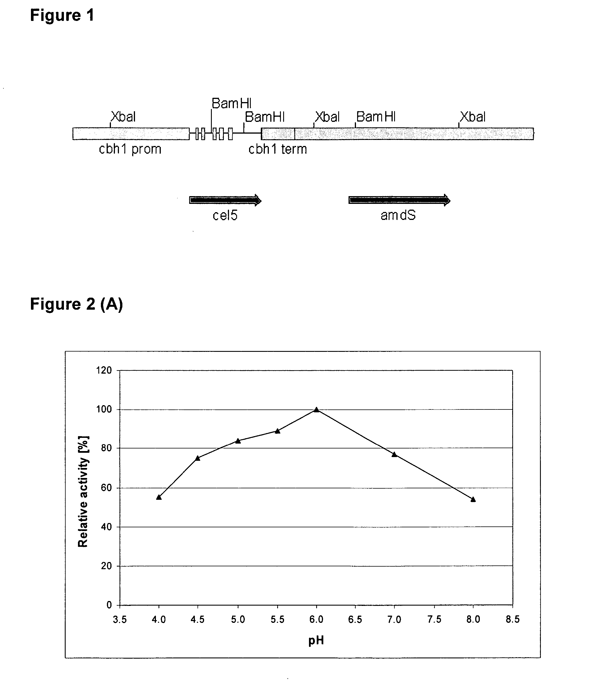 Enzyme fusion proteins and their use