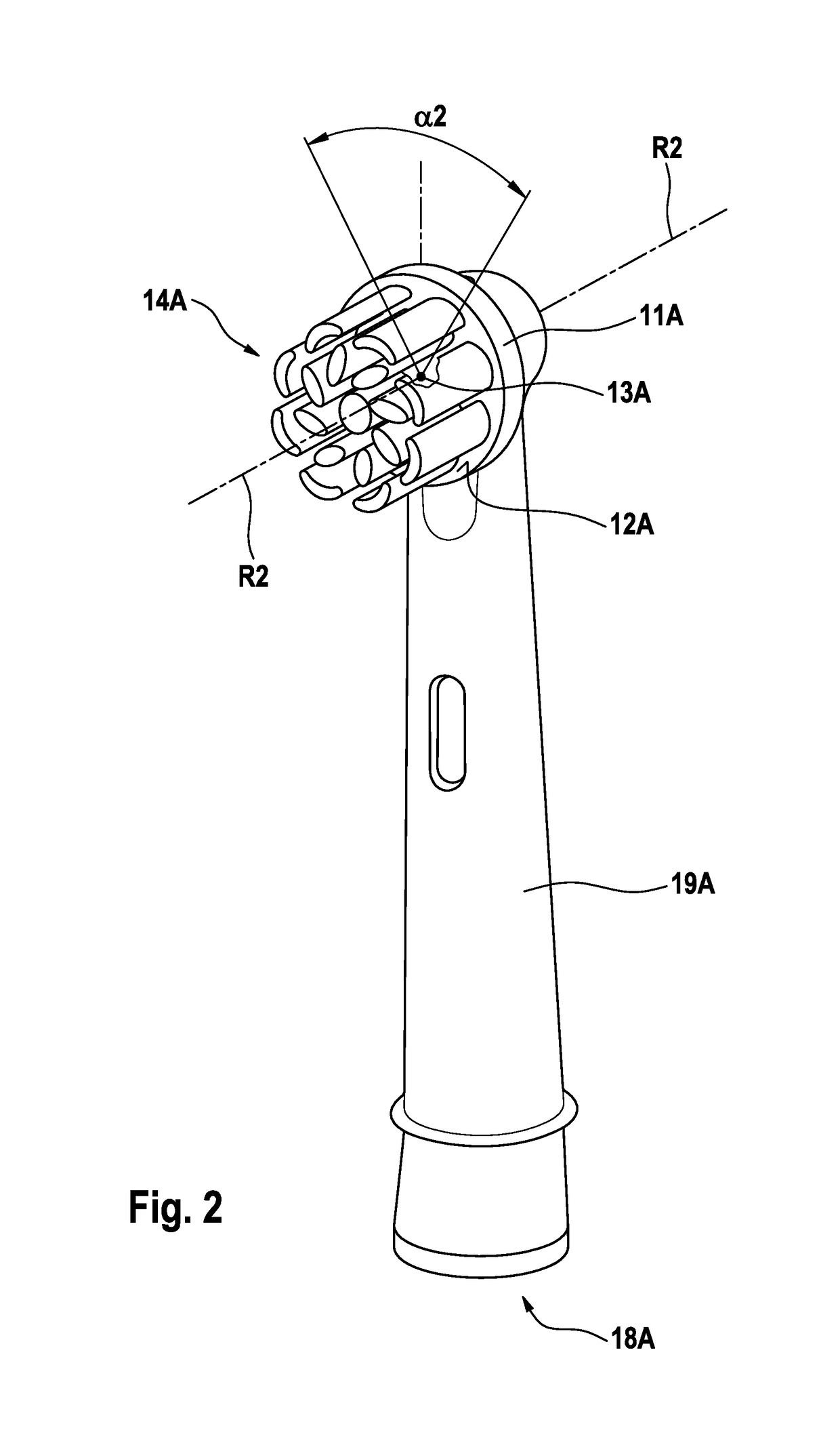 Brush head and electric toothbrush