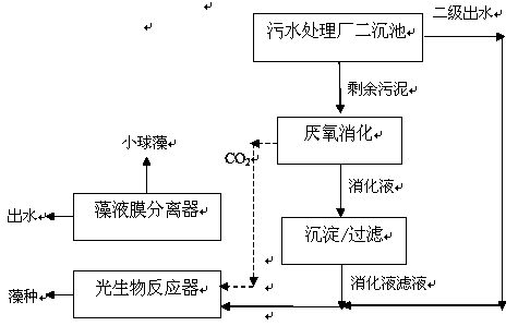 Method for culturing chlorella by using sludge anaerobic digestion liquid