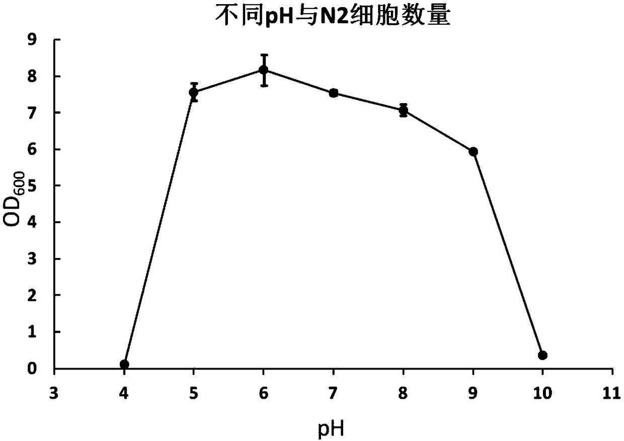 Bacillus subtilis N2 with ammonia nitrogen degradation function and application thereof