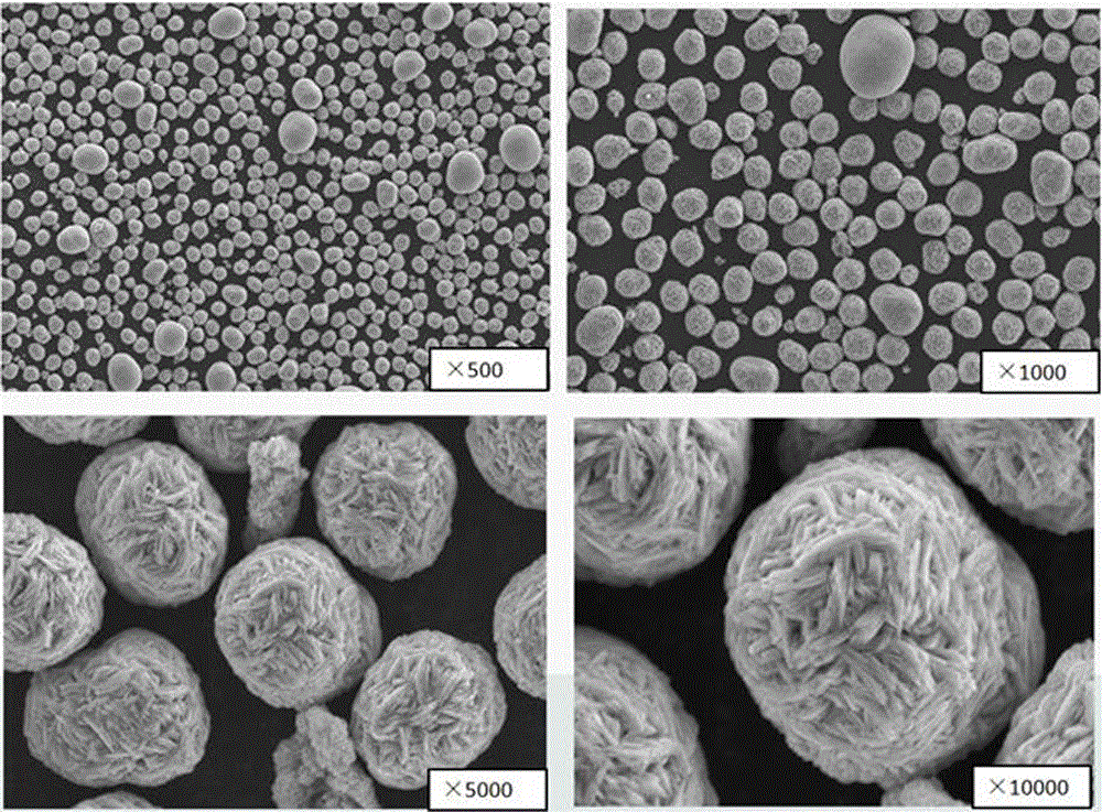 Preparation method of NCA precursor