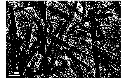 Potassium titanate nanowire and preparation method thereof