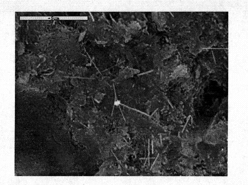 Brucite fiber paste used for toughening cement-based materials and preparation method thereof